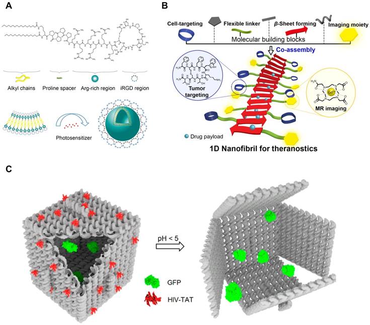 Theranostics Image