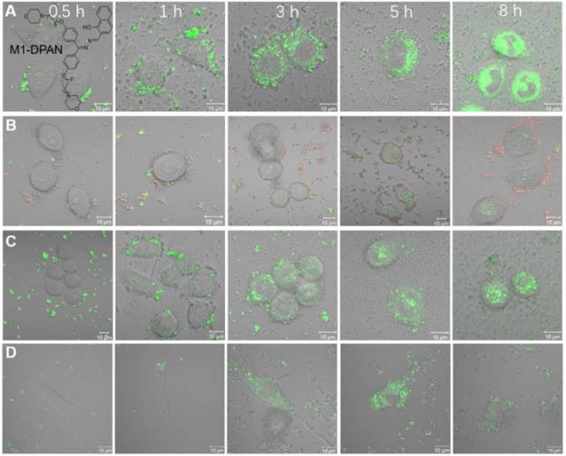 Theranostics Image