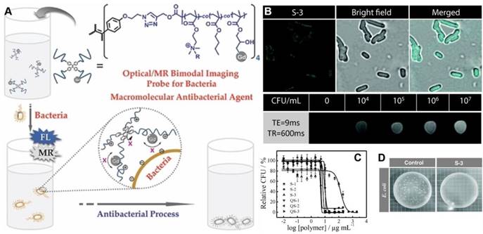 Theranostics Image