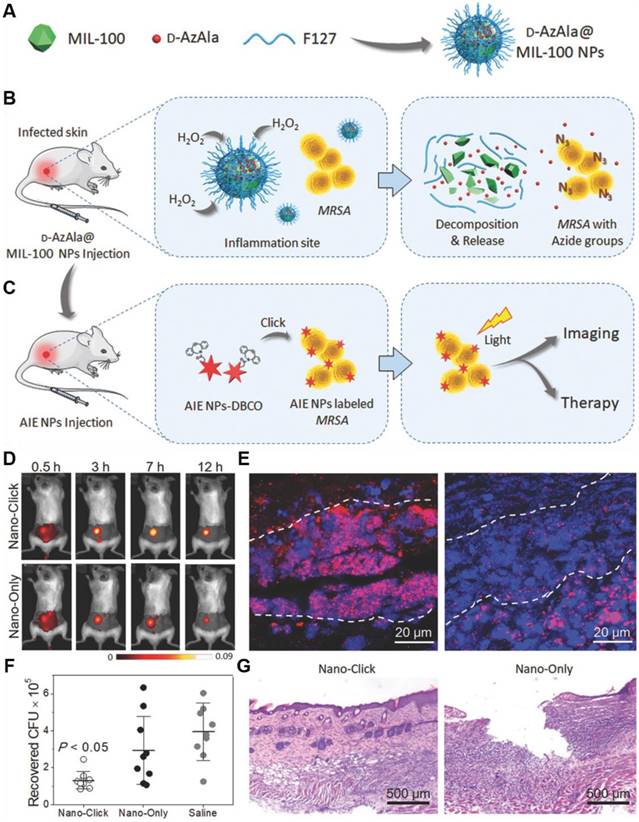 Theranostics Image