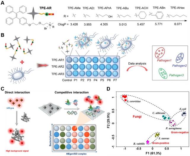 Theranostics Image