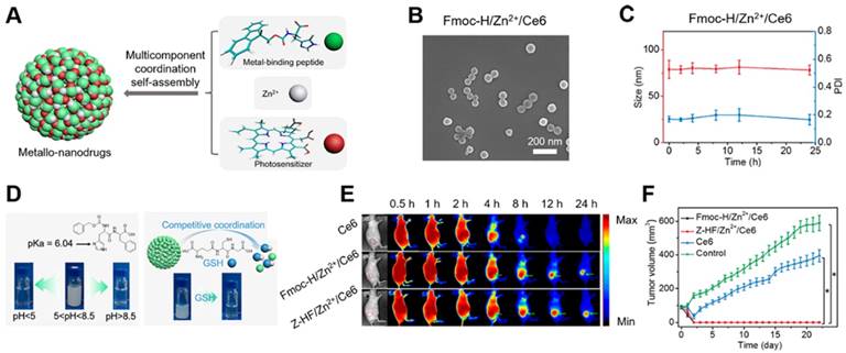 Theranostics Image