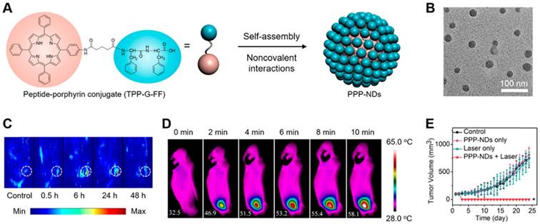 Theranostics Image