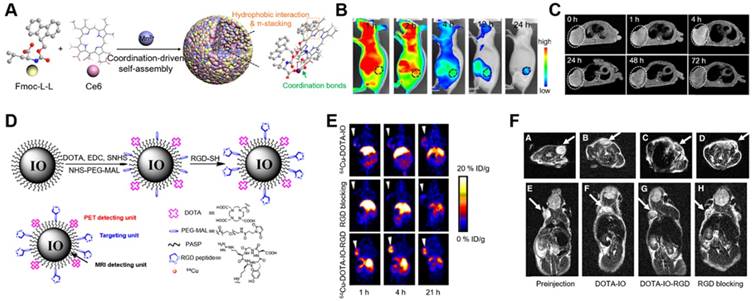 Theranostics Image