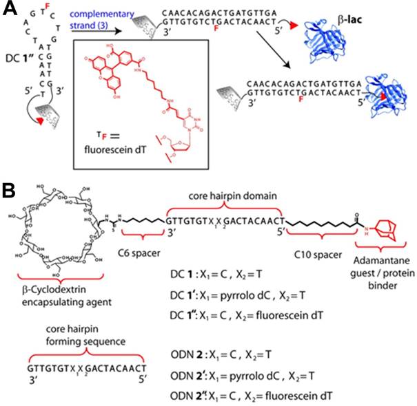 Theranostics Image