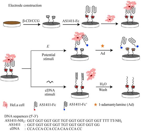 Theranostics Image