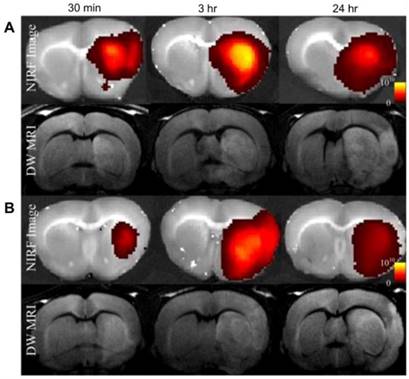 Theranostics Image