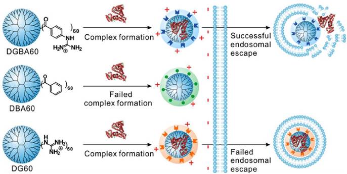 Theranostics Image