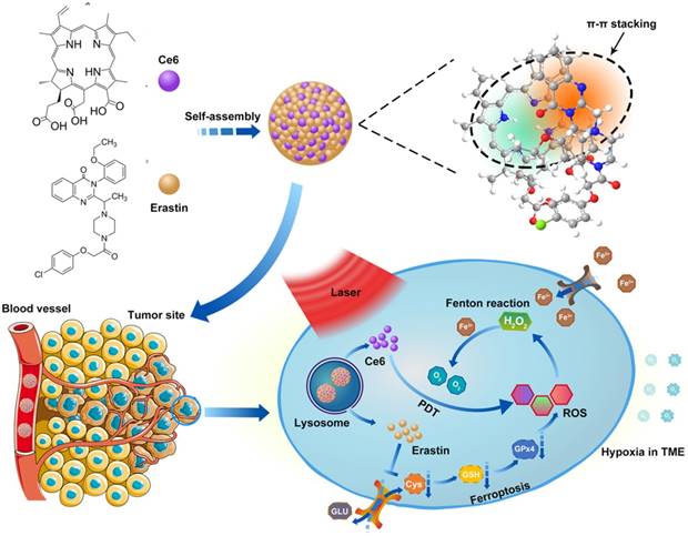 Theranostics Image