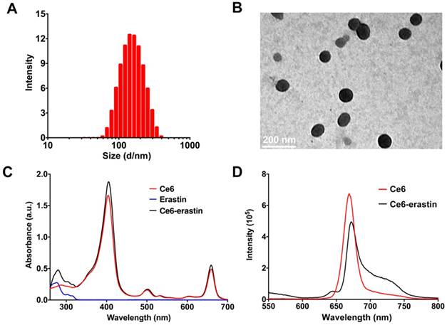 Theranostics Image