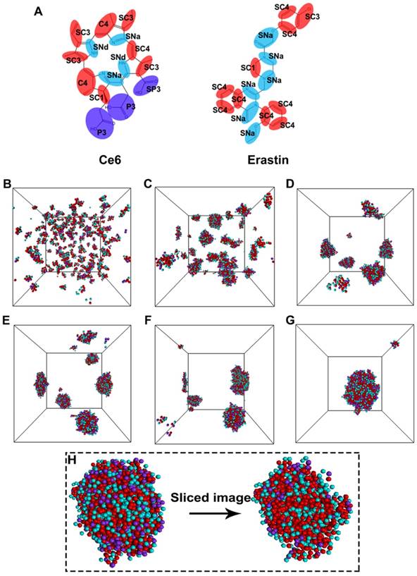 Theranostics Image