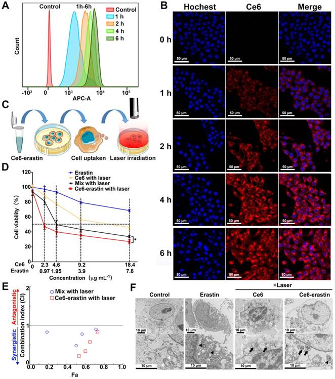 Theranostics Image