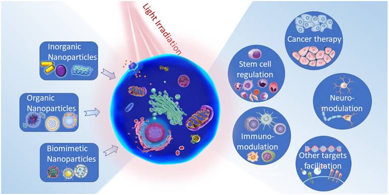 Theranostics Image