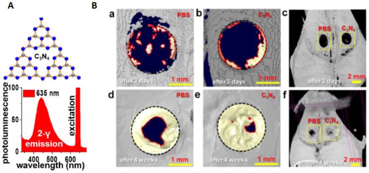 Theranostics Image