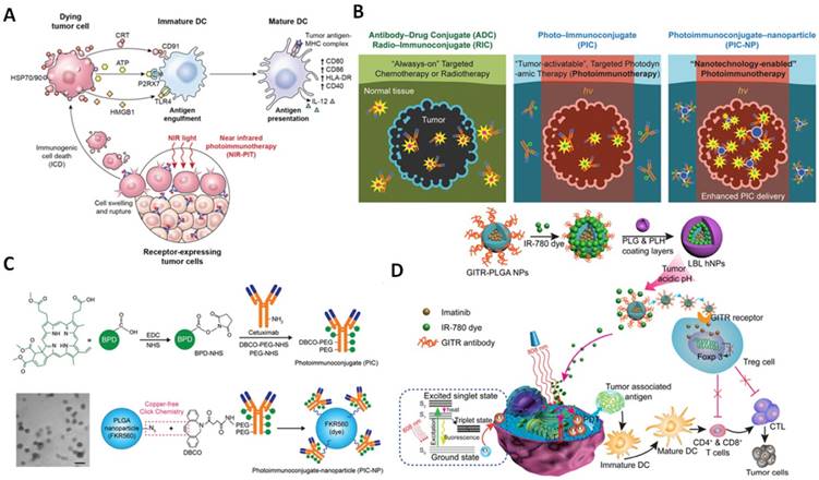 Theranostics Image