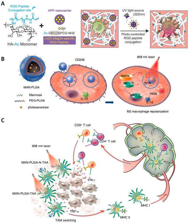 Theranostics Image