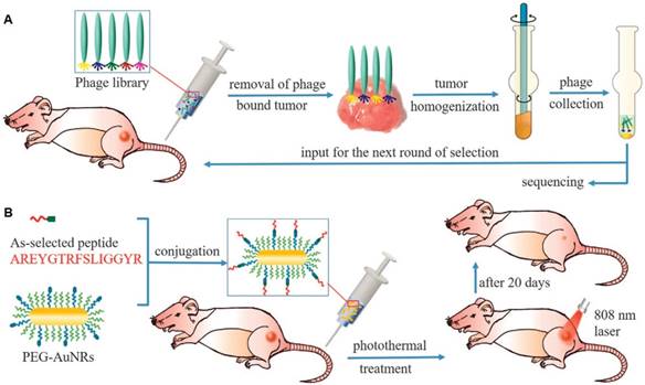 Theranostics Image