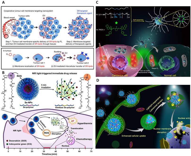 Theranostics Image