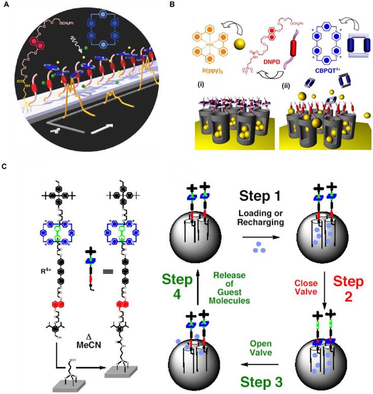 Theranostics Image