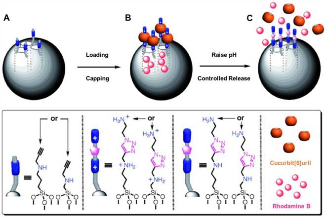 Theranostics Image