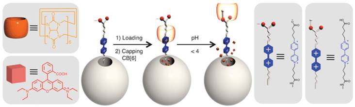 Theranostics Image