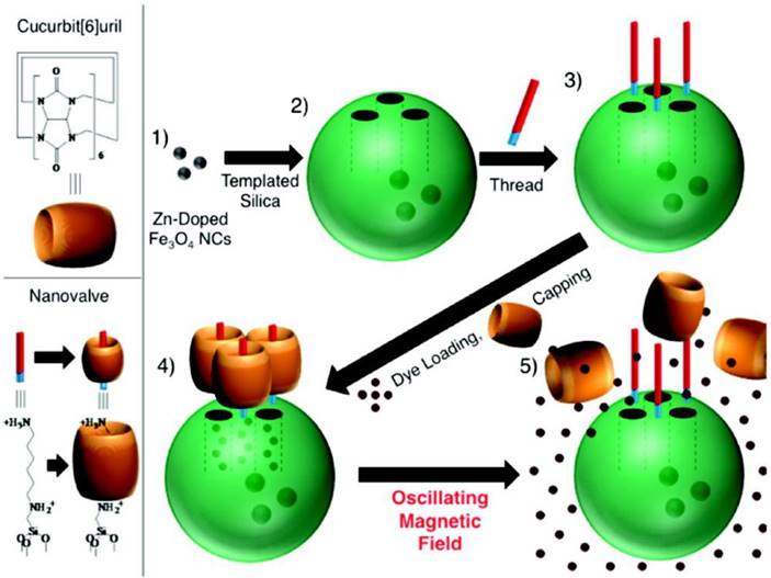 Theranostics Image