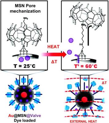 Theranostics Image