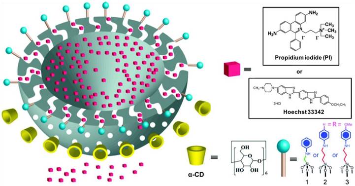 Theranostics Image