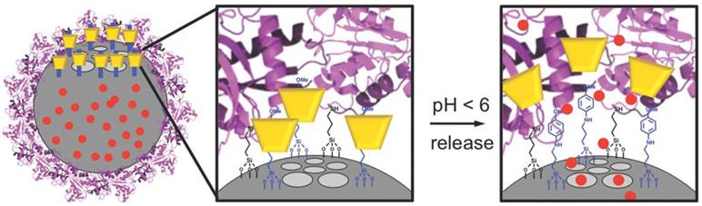 Theranostics Image