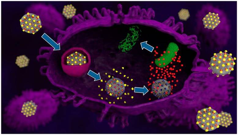 Theranostics Image