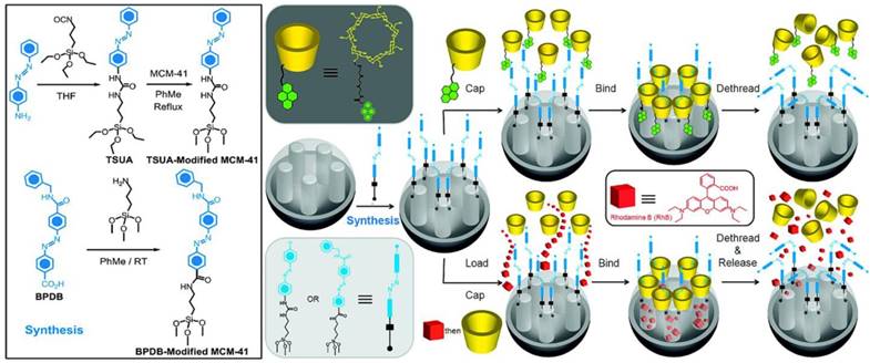 Theranostics Image