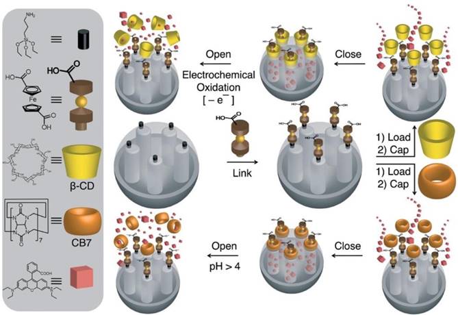 Theranostics Image