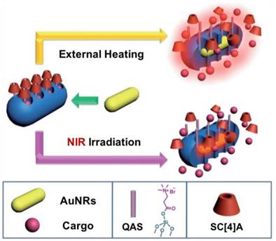 Theranostics Image