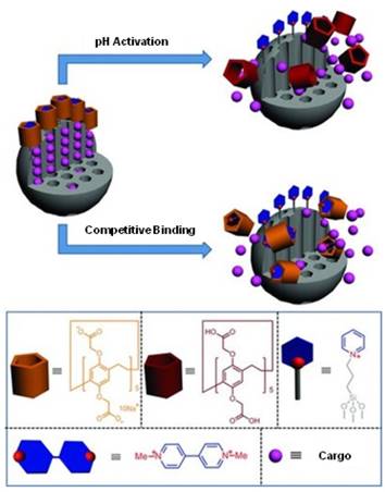 Theranostics Image