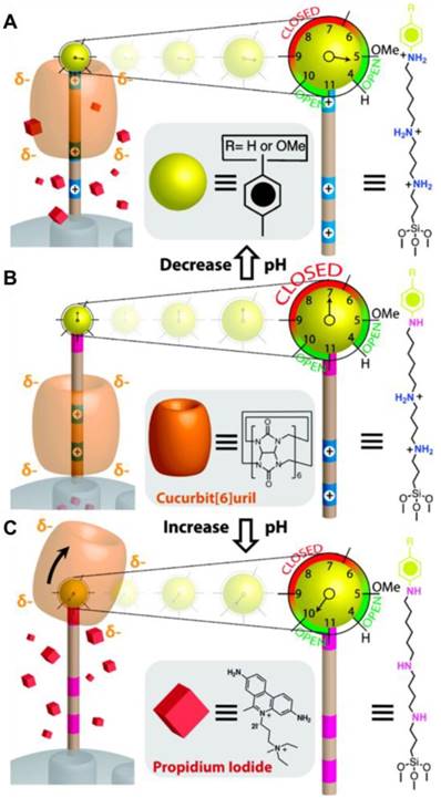 Theranostics Image