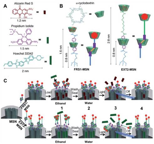 Theranostics Image