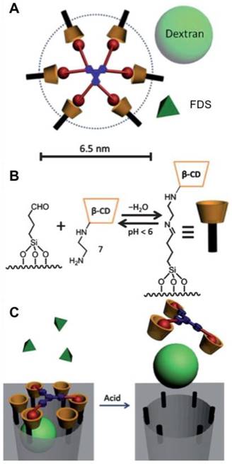 Theranostics Image