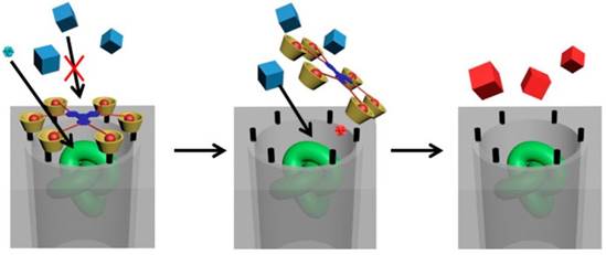 Theranostics Image