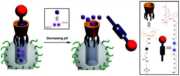 Theranostics Image