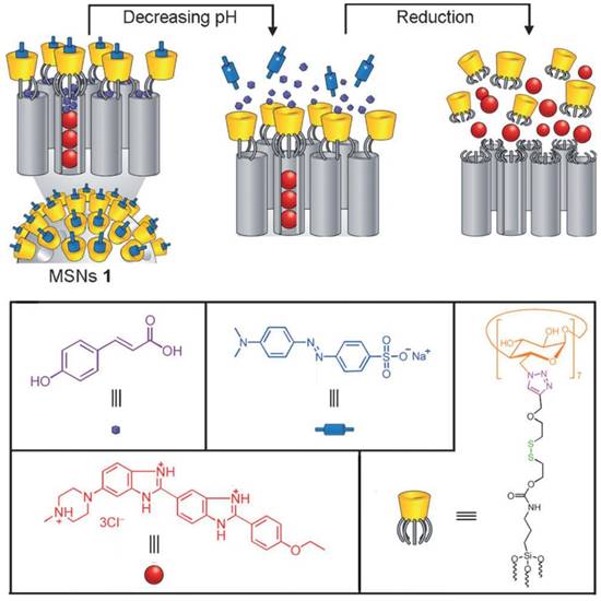 Theranostics Image