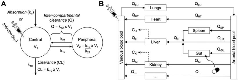 Theranostics Image