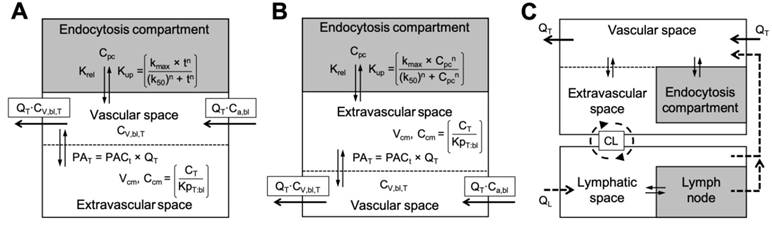 Theranostics Image