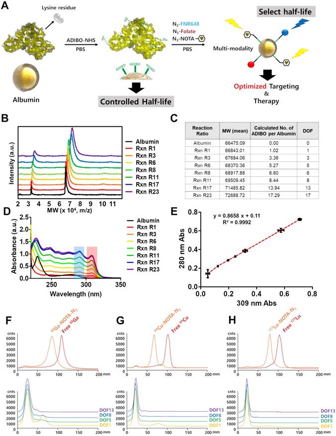 Theranostics Image