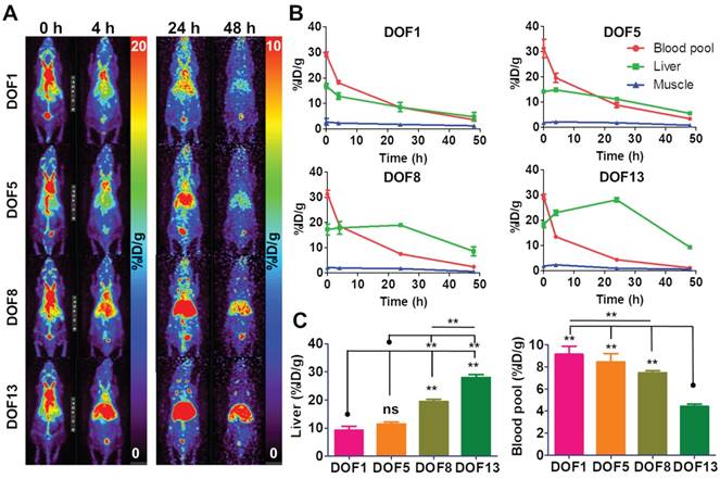 Theranostics Image