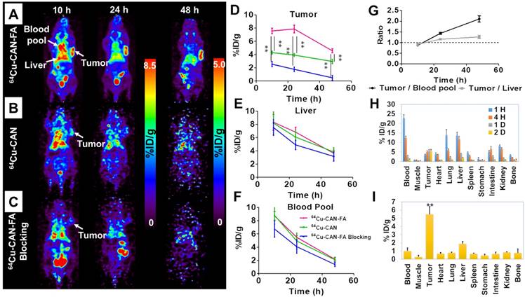 Theranostics Image