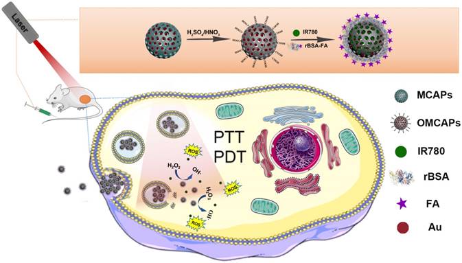 Theranostics Image