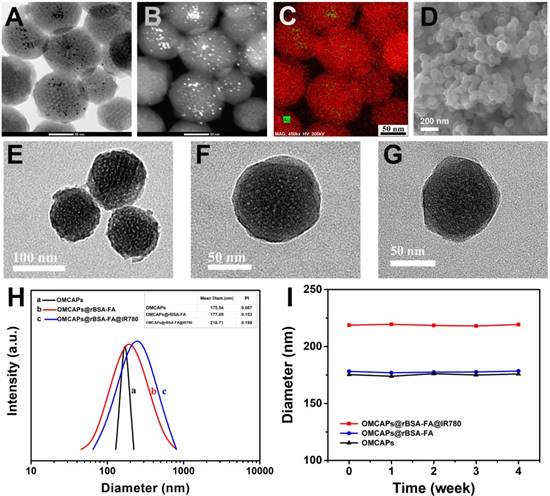 Theranostics Image