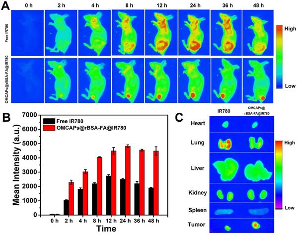 Theranostics Image