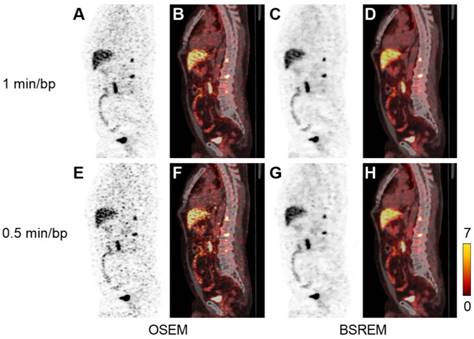 Theranostics Image