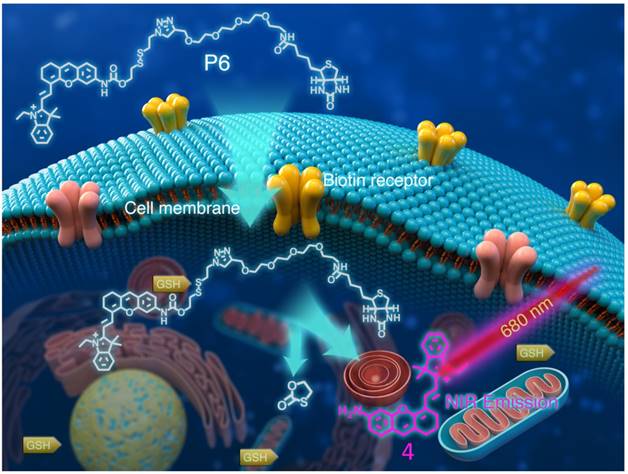 Theranostics Image